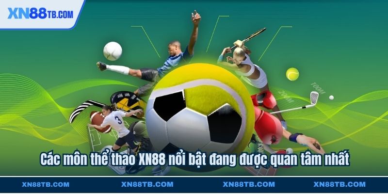 Các môn thể thao XN88 nổi bật đang được quan tâm nhất